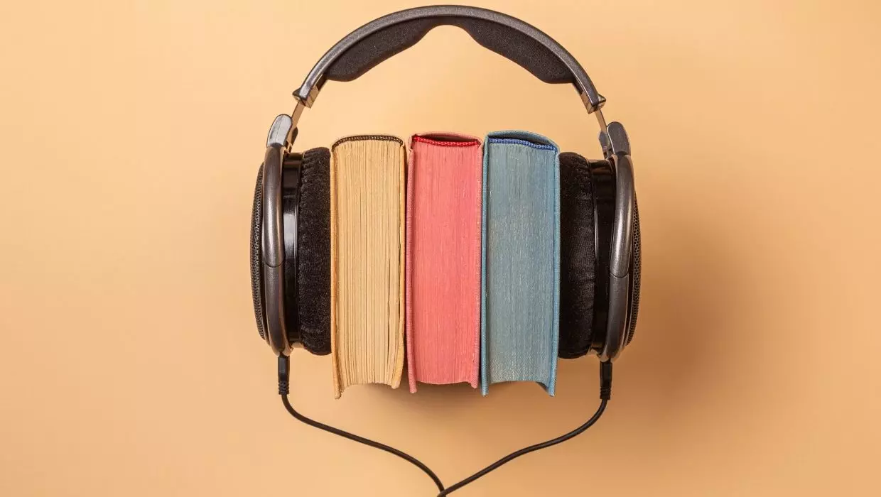 AnyConv.com__audiolibros